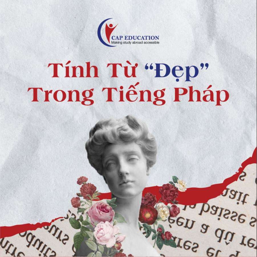 Hình ảnh minh họa 15 Tính Từ Tiếng Pháp Miêu Tả Vẻ Đẹp