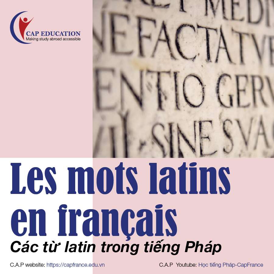 Hình ảnh minh họa Các Từ Latinh Trong Tiếng Pháp