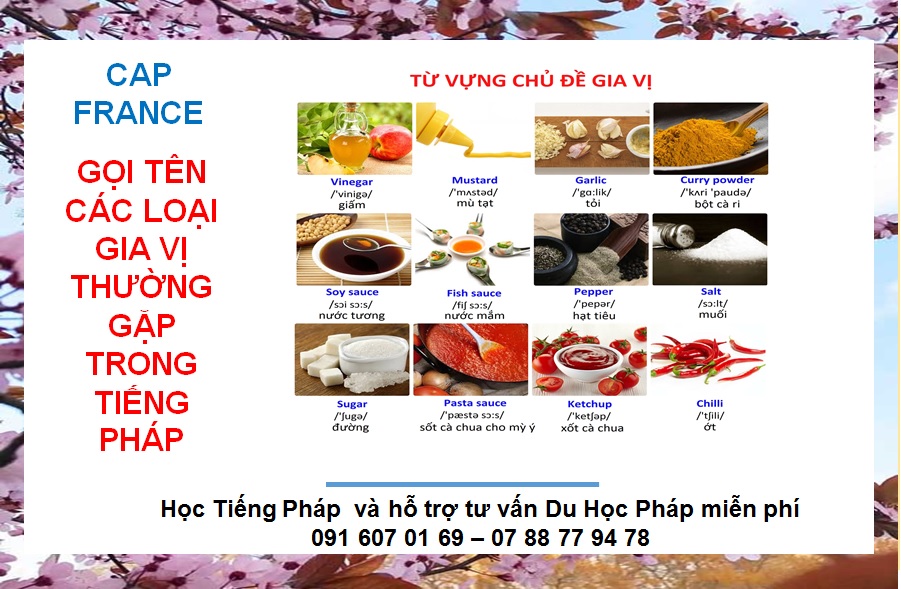 Hình ảnh minh họa Các Loại Gia Vị Trong Tiếng Pháp