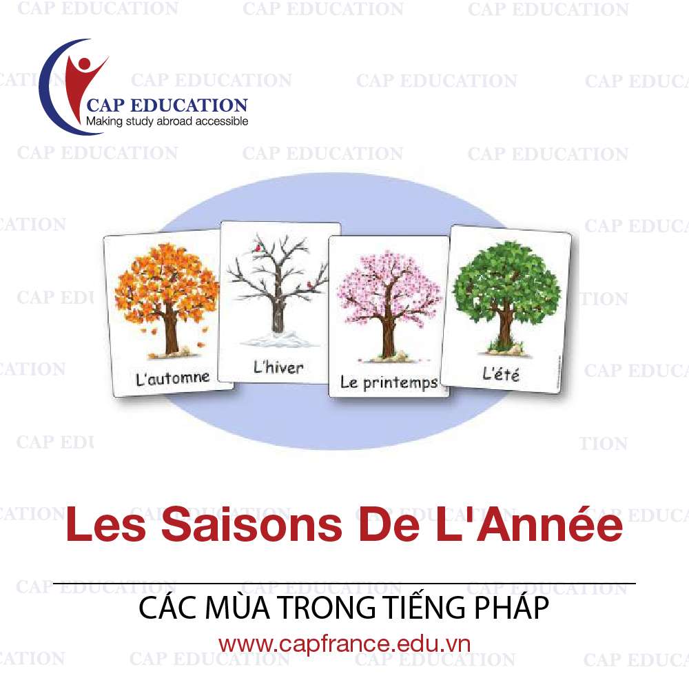 Hình ảnh minh họa Các Mùa Trong Tiếng Pháp