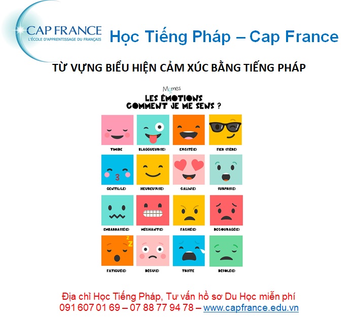 Hình ảnh minh họa Les Émotions Từ Vựng Tiếng Pháp Chỉ Cảm Xúc