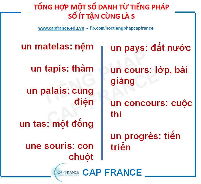 Hình ảnh minh họa Danh Từ Tiếng Pháp Số Ít Tận Cùng Là S