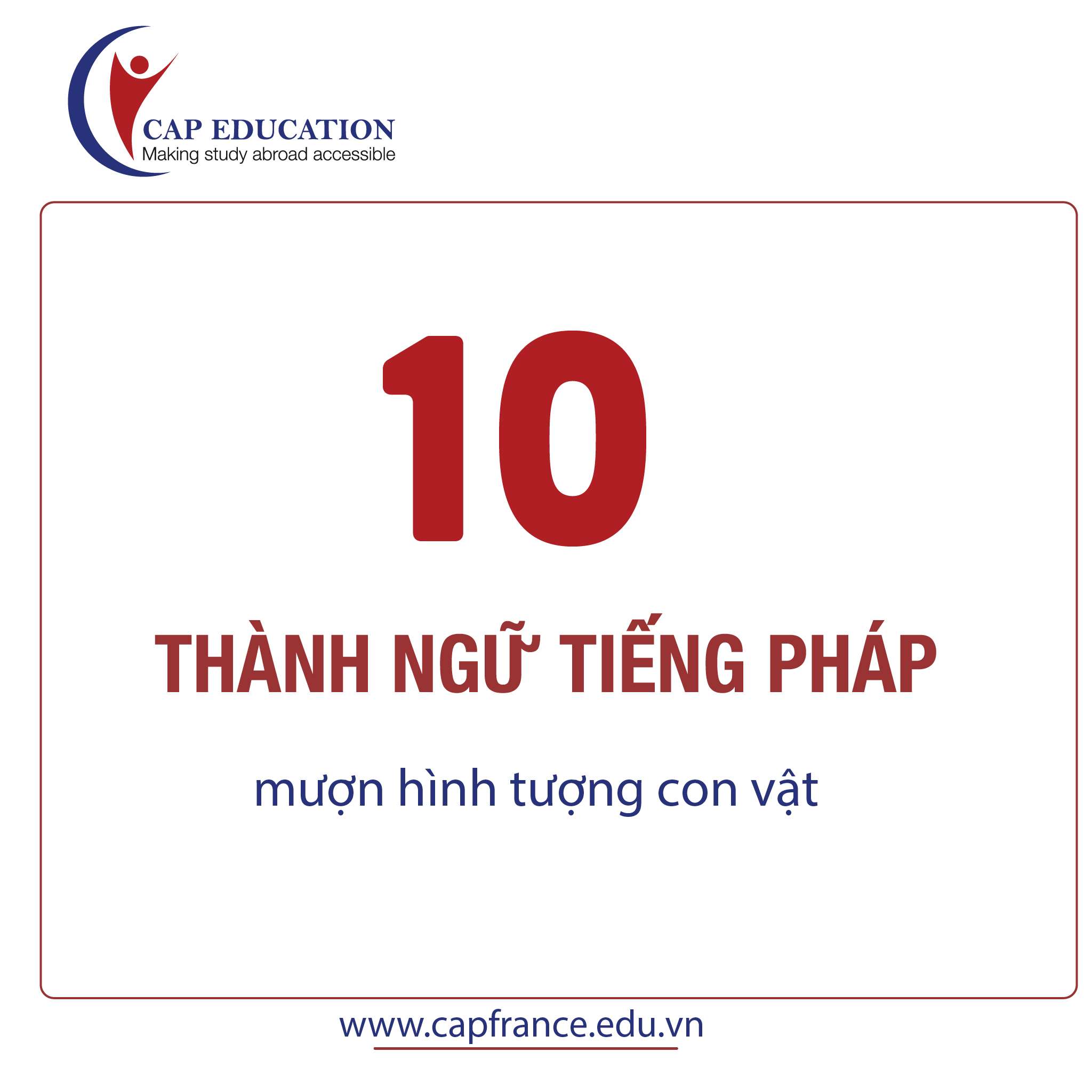 Hình ảnh minh họa Thành Ngữ Tiếng Pháp Hay Sử Dụng Hình Tượng Con Vật