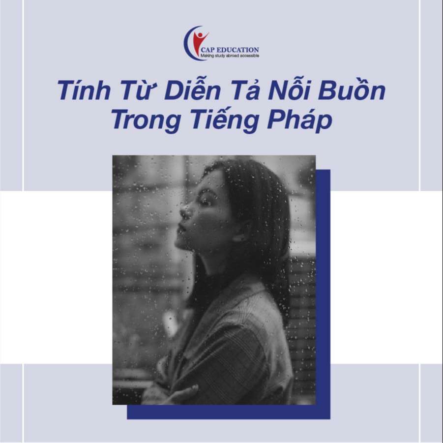 Hình ảnh minh họa Tính Từ Diễn Tả Nỗi Buồn Trong Tiếng Pháp