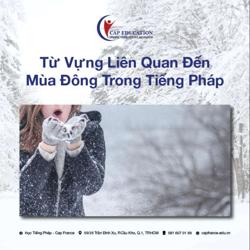 Hình ảnh minh họa Từ Vựng Tiếng Pháp Về Mùa Đông