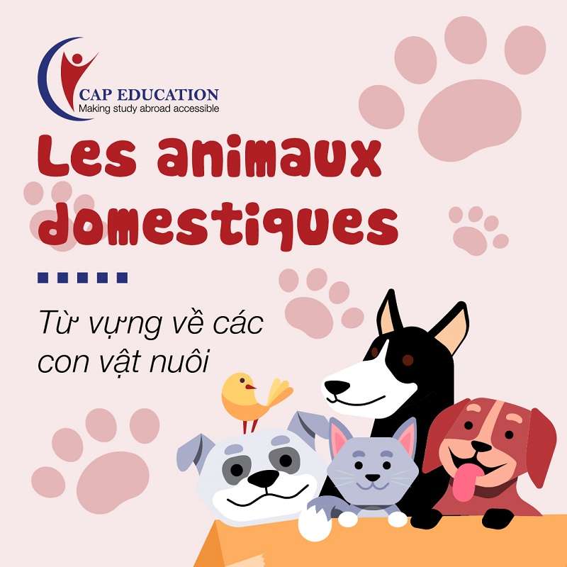 Hình ảnh minh họa Từ Vựng Tiếng Pháp Về Các Con Vật Nuôi