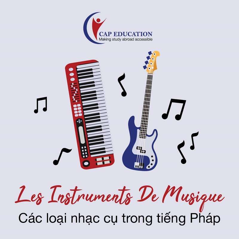 Hình ảnh minh họa Từ Vựng Tiếng Pháp Về Các Loại Nhạc Cụ