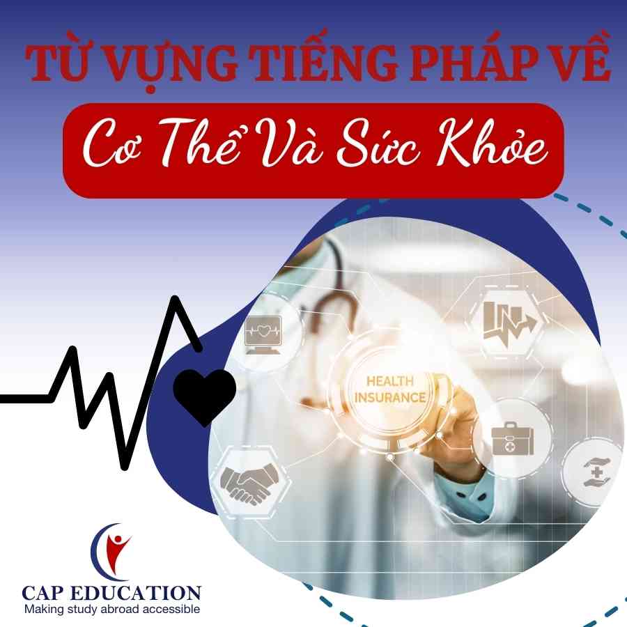 Hình ảnh minh họa Từ Vựng Tiếng Pháp Về Cơ Thể Và Sức Khỏe
