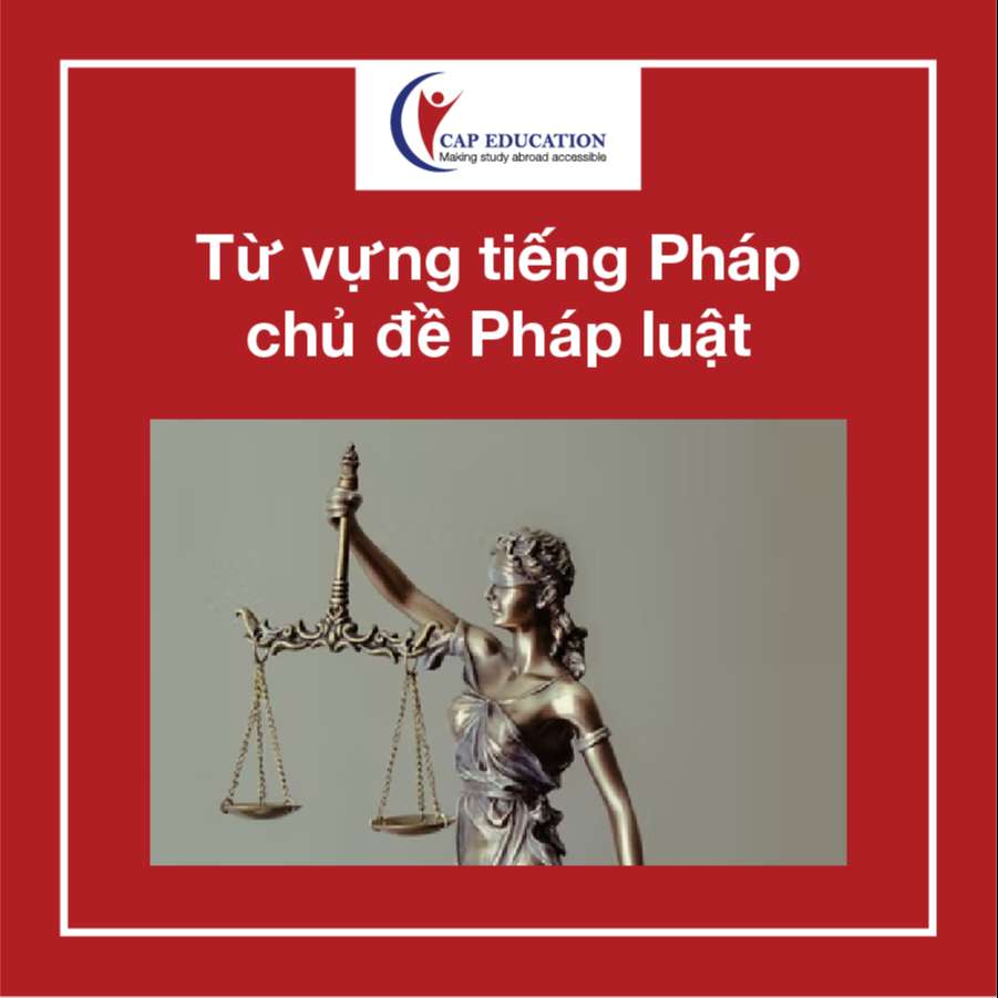 Hình ảnh minh họa Từ Vựng Tiếng Pháp Về Pháp Luật