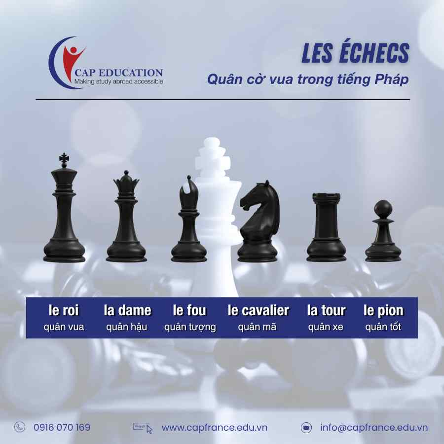 Hình ảnh minh họa Từ Vựng Tiếng Pháp Về Cờ Vua
