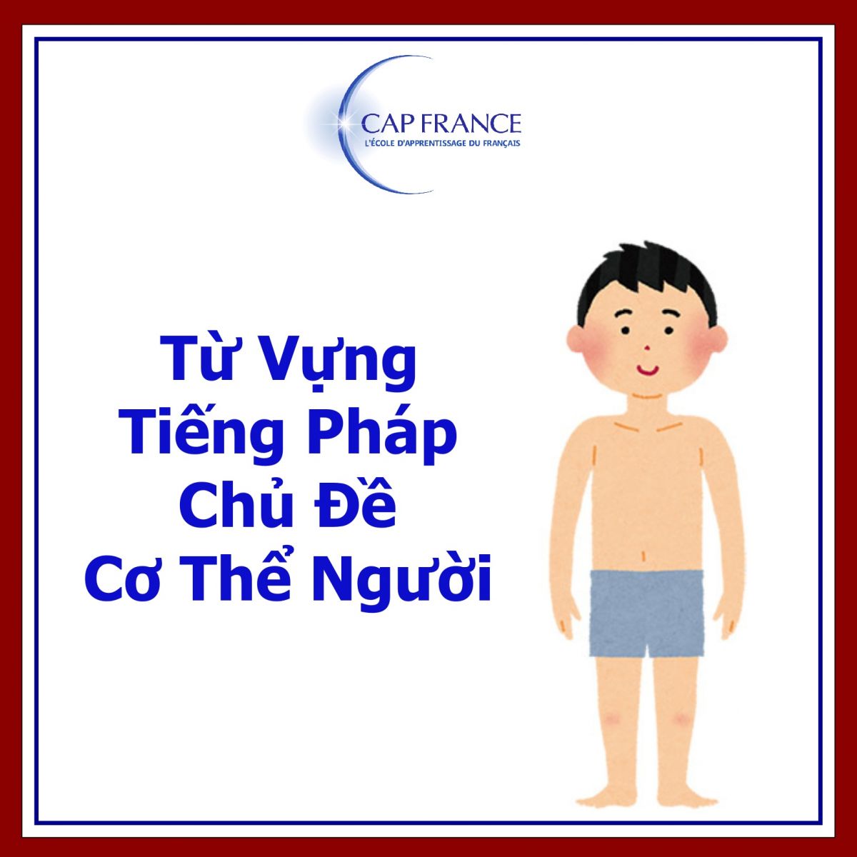 Hình ảnh minh họa Từ Vựng Tiếng Pháp Chủ Đề Cơ Thể Người