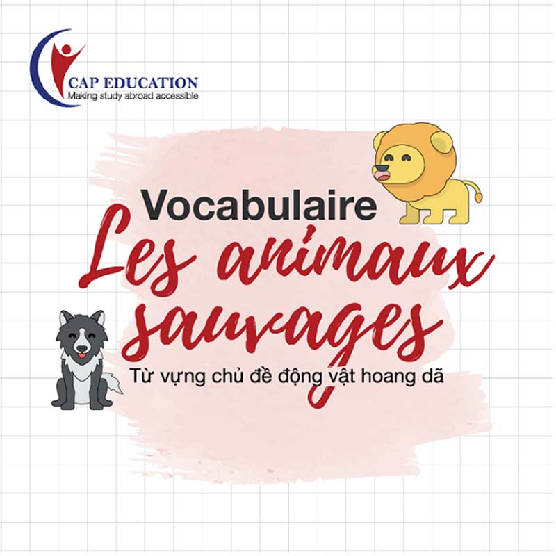 Hình ảnh minh họa Từ Vựng Tiếng Pháp Chủ Đề Động Vật Hoang Dã