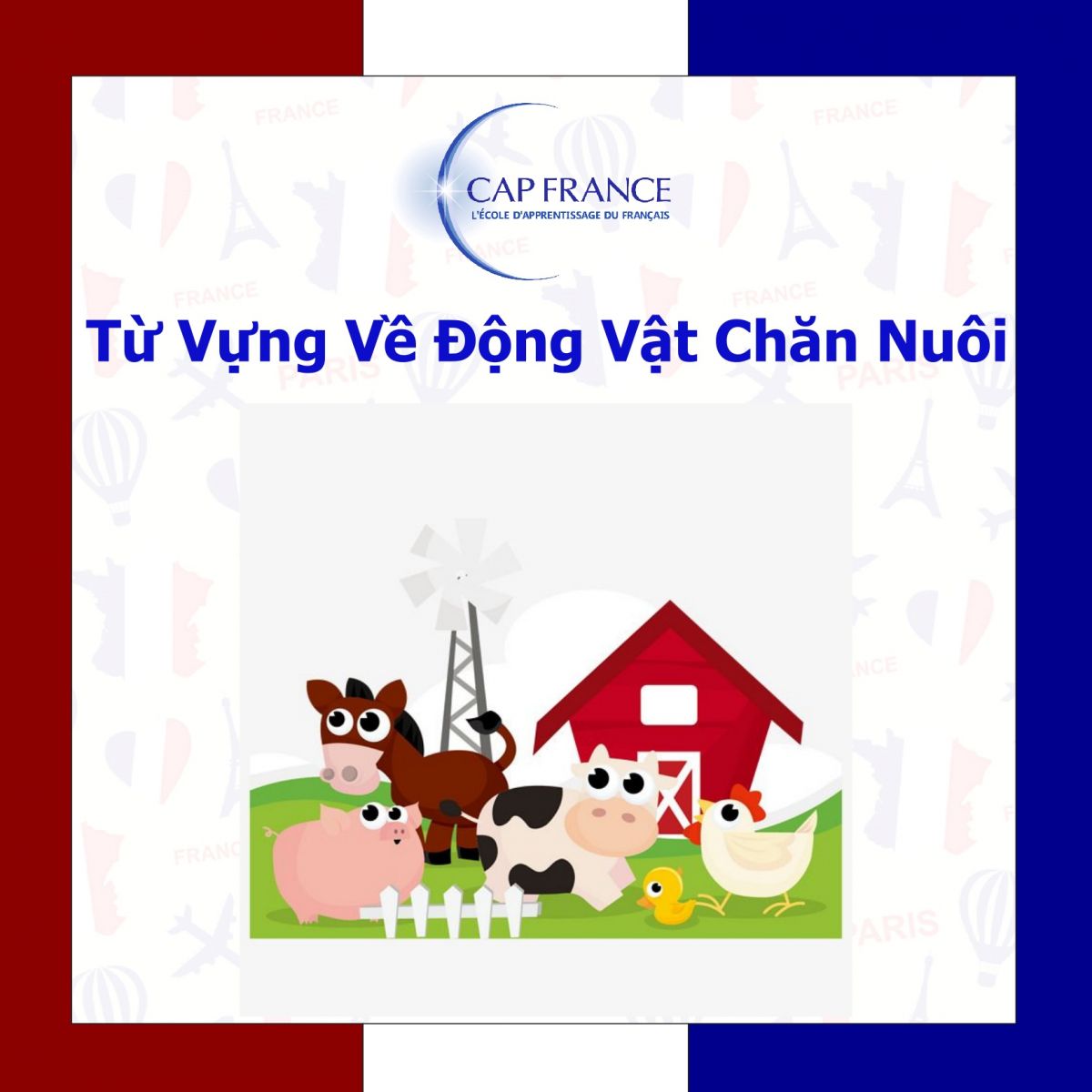 Hình ảnh minh họa Từ Vựng Tiếng Pháp Chủ Đề Động Vật Chăn Nuôi