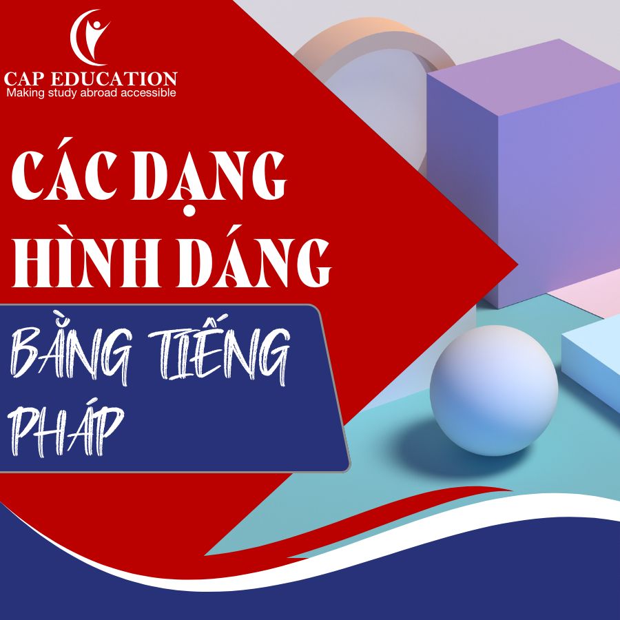Hình ảnh minh họa Các Dạng Hình Dáng Bằng Tiếng Pháp