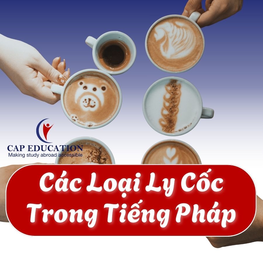 Hình ảnh minh họa Các Loại Ly Cốc Trong Tiếng Pháp