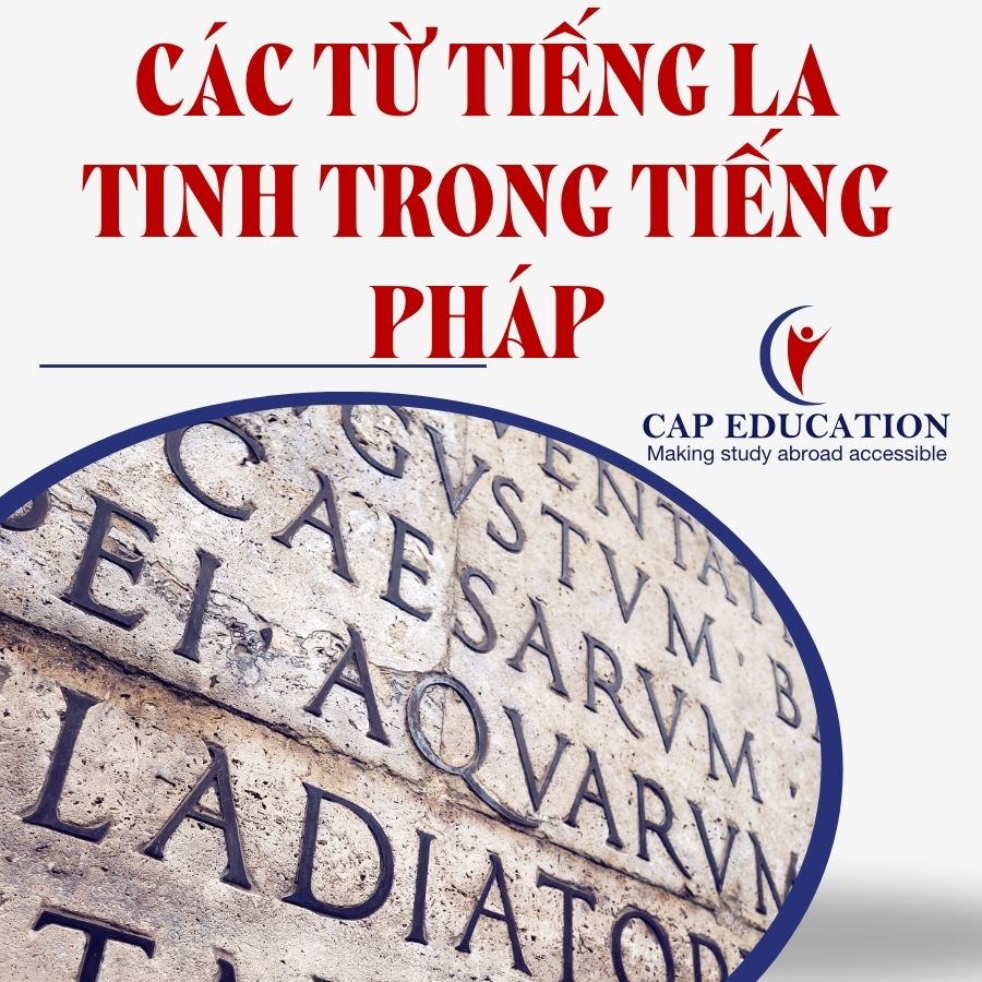 Hình ảnh minh họa Các Từ Tiếng La Tinh Trong Tiếng Pháp