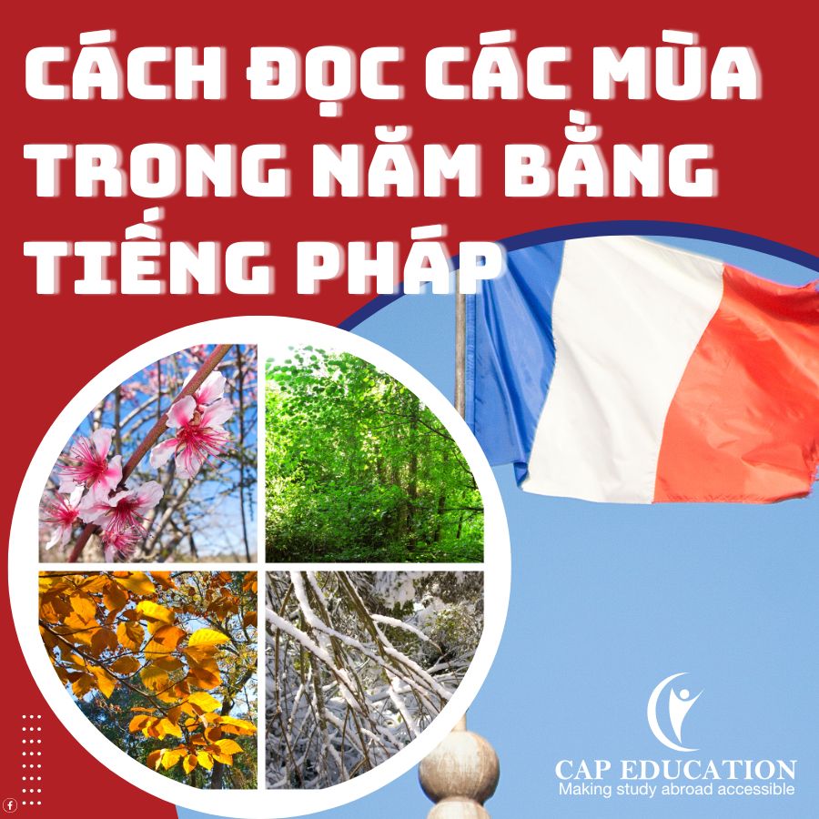 Hình ảnh minh họa Cách Đọc Các Mùa Trong Năm Bằng Tiếng Pháp