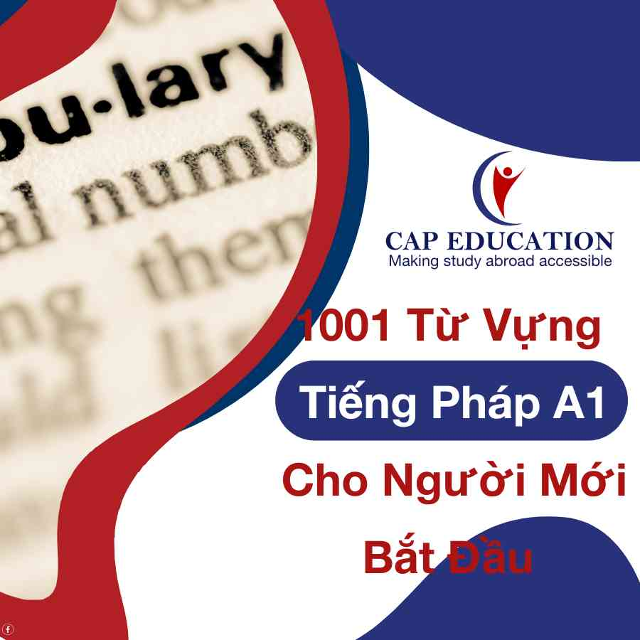 Hình ảnh minh họa 1001 Từ Vựng Tiếng Pháp A1 Cho Người Mới Bắt Đầu