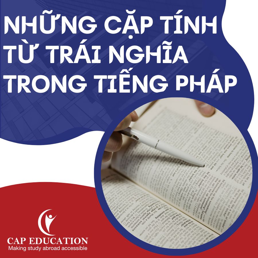 Hình ảnh minh họa Những Cặp Tính Từ Trái Nghĩa Trong Tiếng Pháp