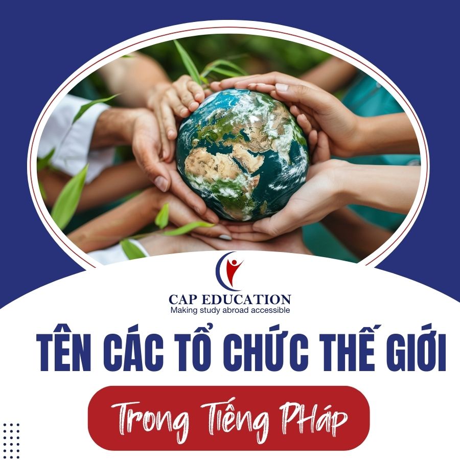 Hình ảnh minh họa Tên Các Tổ Chức Thế Giới Trong Tiếng Pháp
