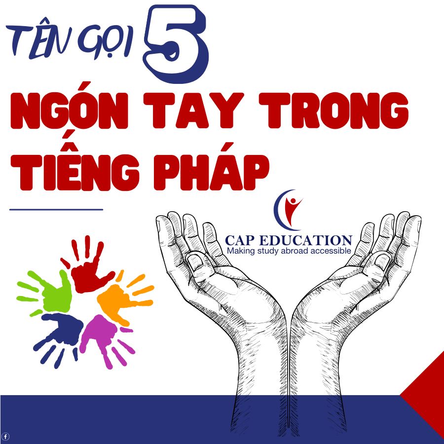 Hình ảnh minh họa Tên Gọi 5 Ngón Tay Trong Tiếng Pháp