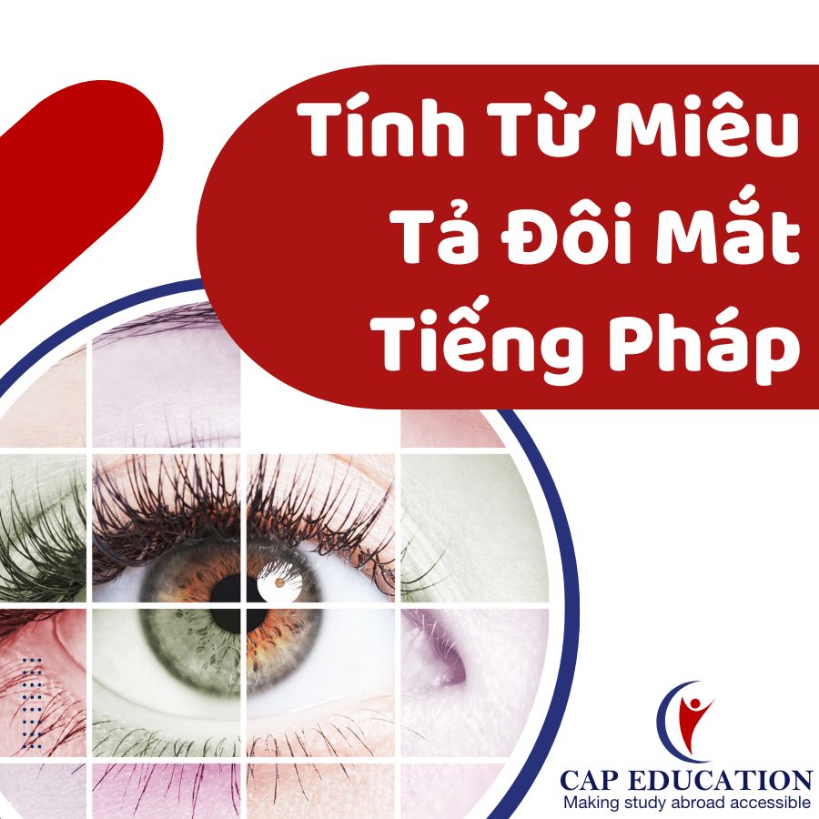 Hình ảnh minh họa Tính Từ Miêu Tả Đôi Mắt Tiếng Pháp