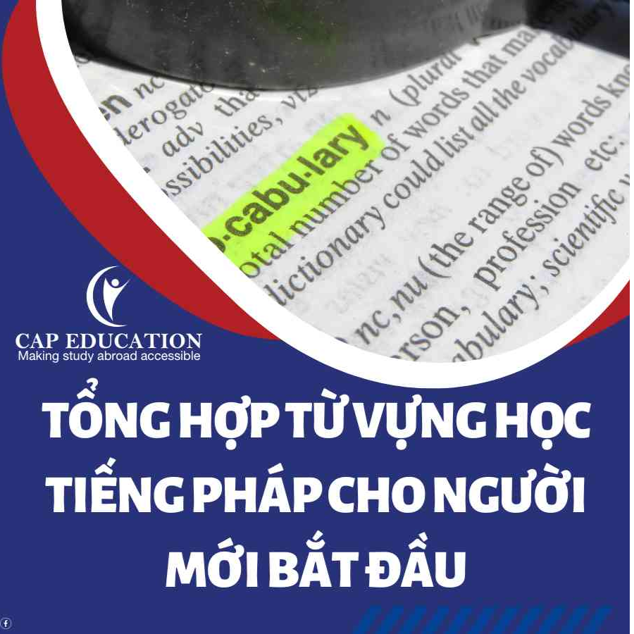 Hình ảnh minh họa Tổng Hợp Từ Vựng Học Tiếng Pháp Cho Người Mới Bắt Đầu