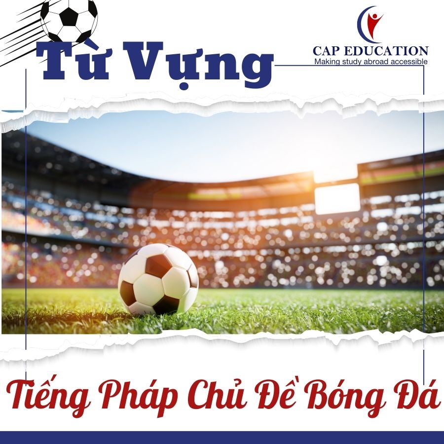 Hình ảnh minh họa Từ Vựng Tiếng Pháp Chủ Đề Bóng Đá