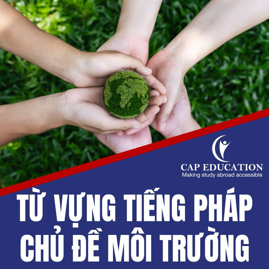 Hình ảnh minh họa Từ Vựng Tiếng Pháp Chủ Đề Môi Trường