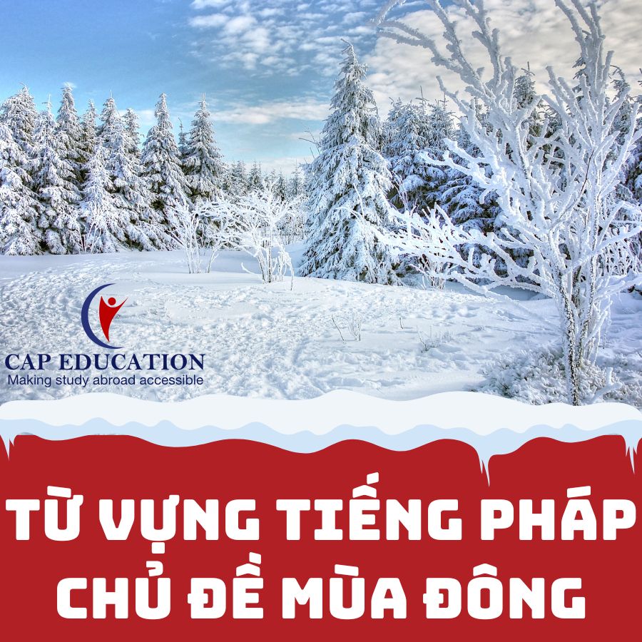 Hình ảnh minh họa Từ Vựng Tiếng Pháp Chủ Đề Mùa Đông