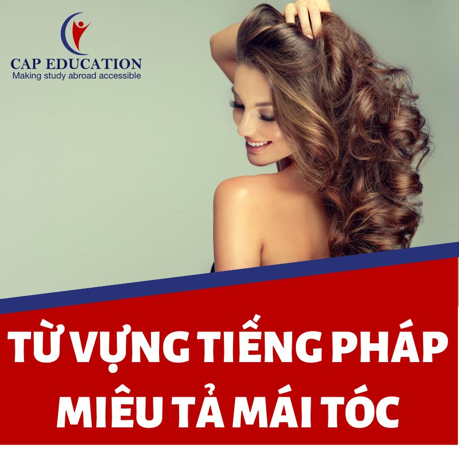 Hình ảnh minh họa Từ Vựng Tiếng Pháp Miêu Tả Mái Tóc