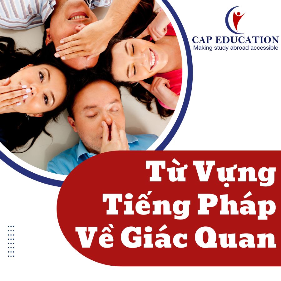 Hình ảnh minh họa Từ Vựng Tiếng Pháp Về Giác Quan