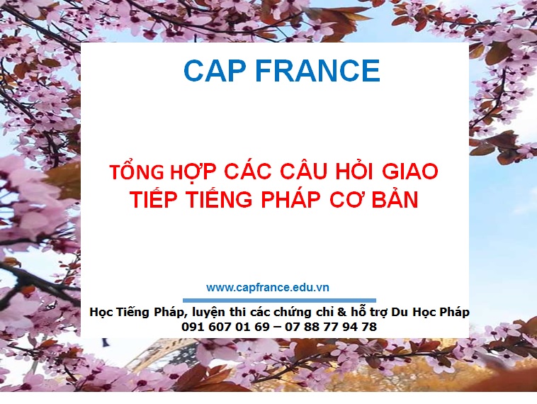 Hình ảnh minh họa Những Câu Hỏi Giao Tiếp Tiếng Pháp Cơ Bản