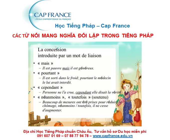Hình ảnh minh họa Các Từ Nối Mang Nghĩa Đối Lập Trong Tiếng Pháp
