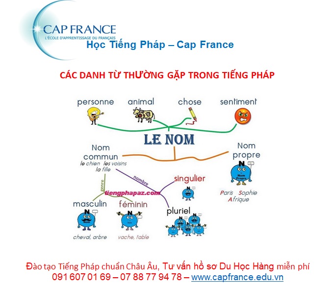 Hình ảnh minh họa Các Danh Từ Thường Gặp Trong Tiếng Pháp