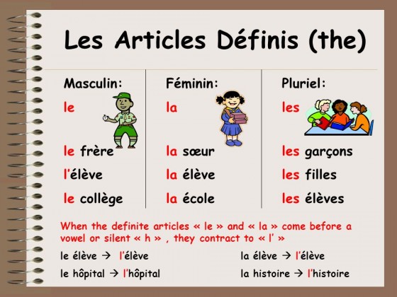 Hình ảnh minh họa Les Articles Définis