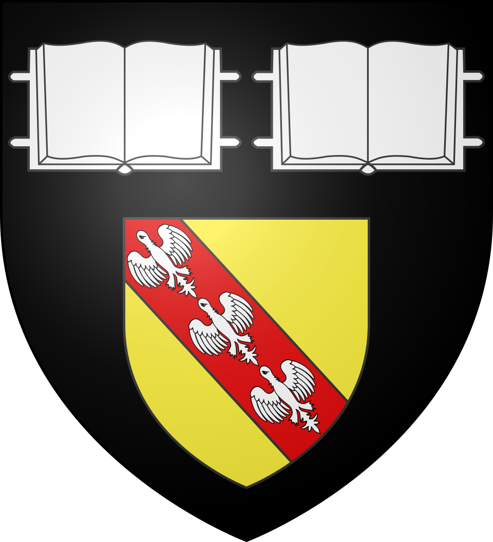 Logo IUT Nancy, Đại học tổng hợp Lorraine
