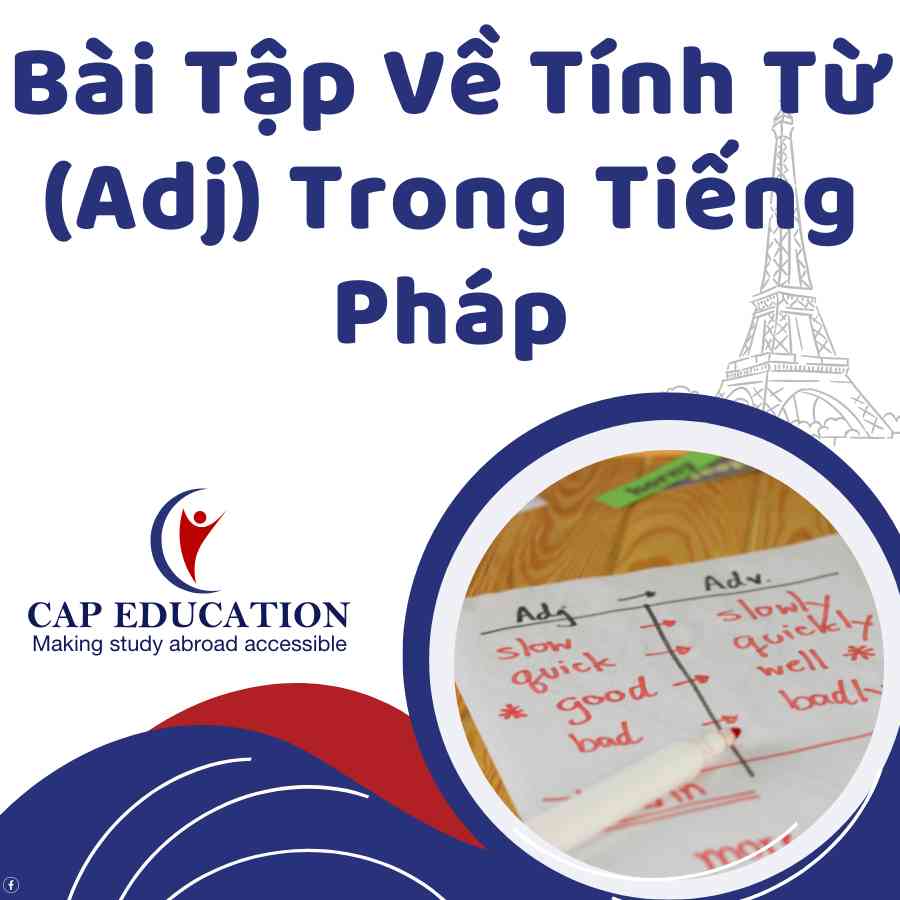 Bài Tập Về Tính Từ (Adj) Trong Tiếng Pháp