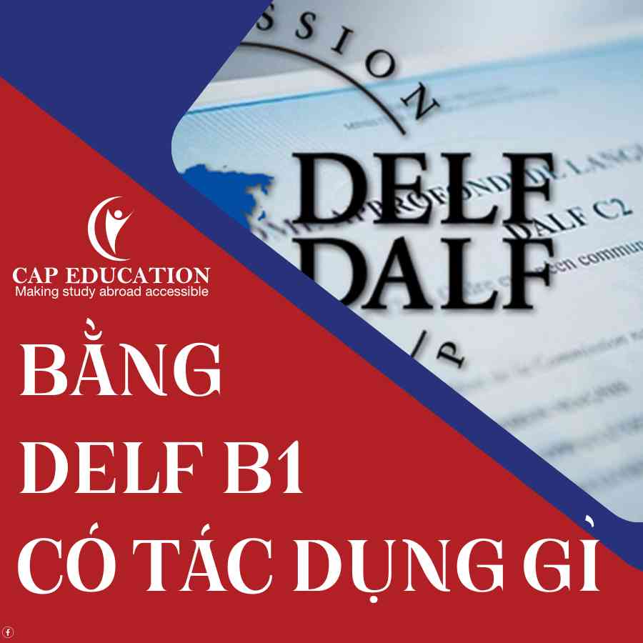 Bằng DELF B1 Có Tác Dụng Gì