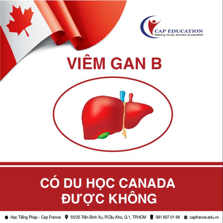 Hình ảnh minh họa Bị Viêm Gan B Có Đi Du Học Canada Được Không