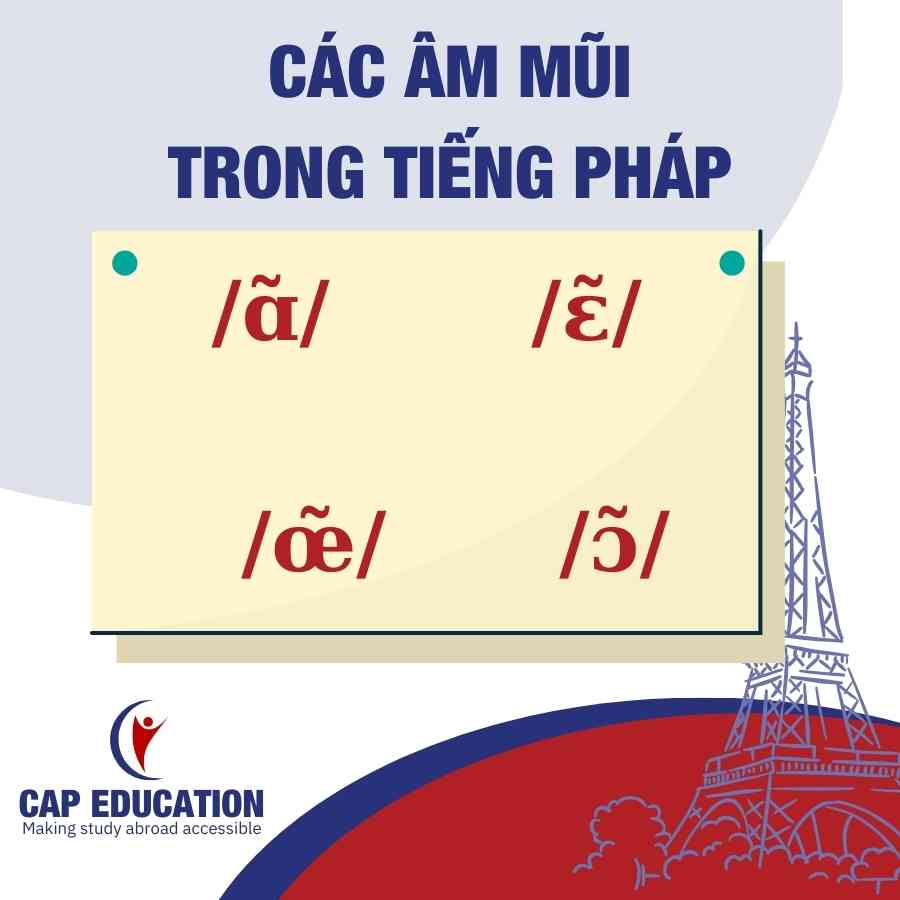 Các Âm Mũi Trong Tiếng Pháp