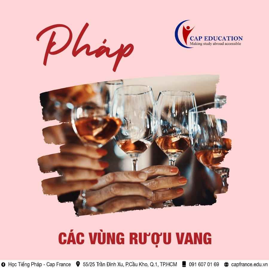 Hình ảnh minh họa Các Vùng Rượu Vang Pháp