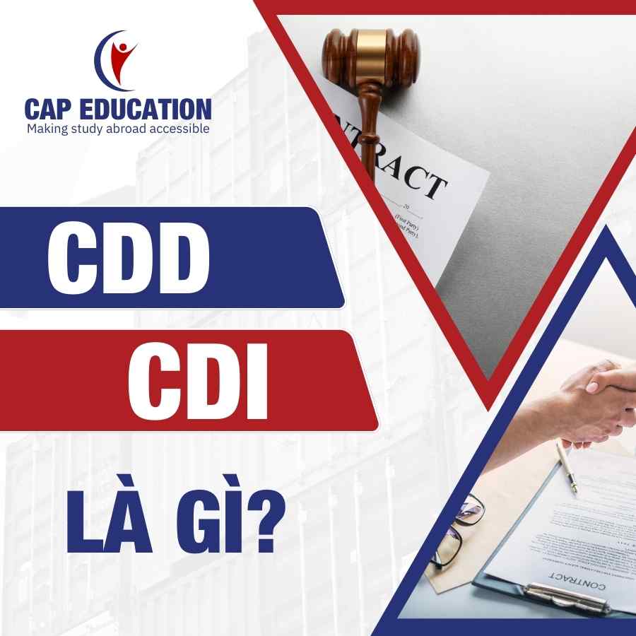 CDD, CDI Là Gì?