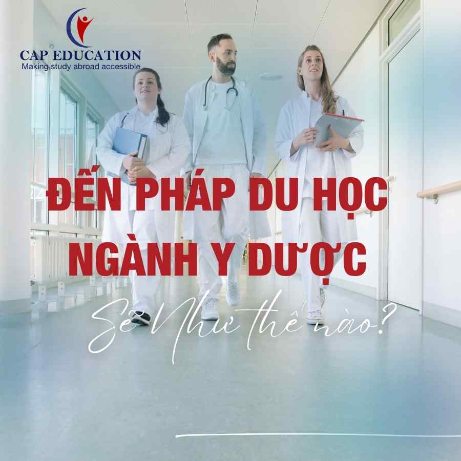 Hình ảnh minh họa Đến Pháp Du Học Ngành Y Dược Sẽ Như Thế Nào?