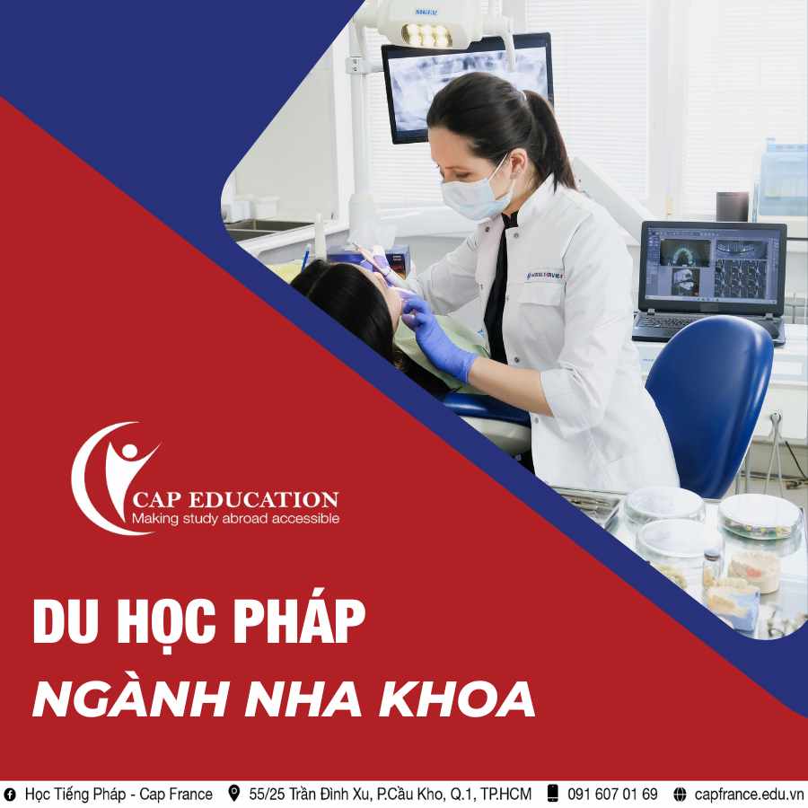 Hình ảnh minh họa Du Học Pháp Ngành Nha Khoa