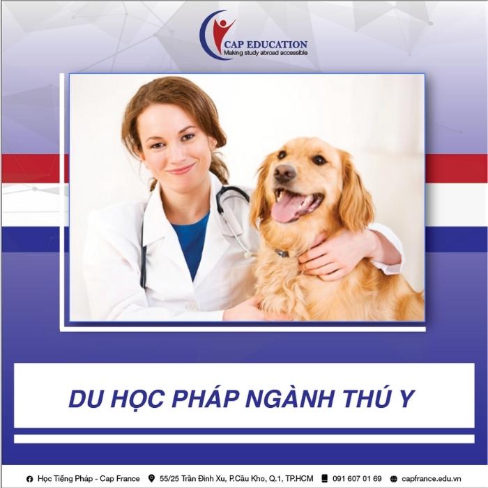 Hình ảnh minh họa Du Học Pháp Ngành Thú Y