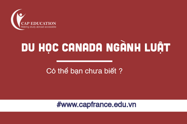Hình ảnh Ngành Luật