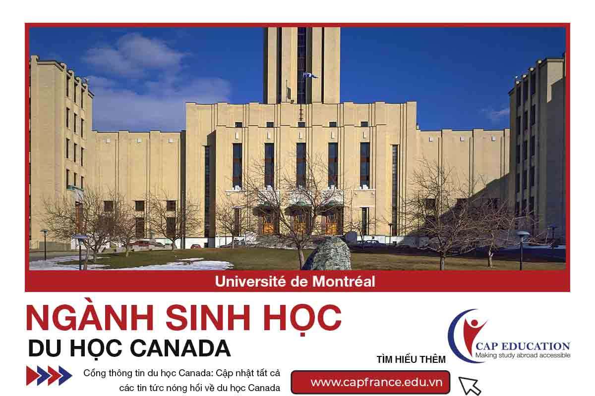 Hình ảnh minh họa Sinh Học