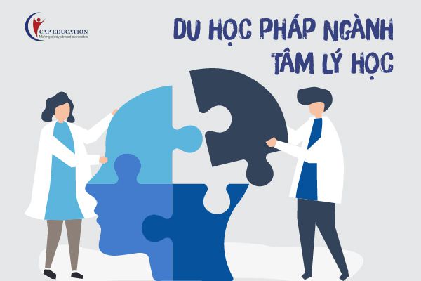Hình ảnh Tâm Lý Học