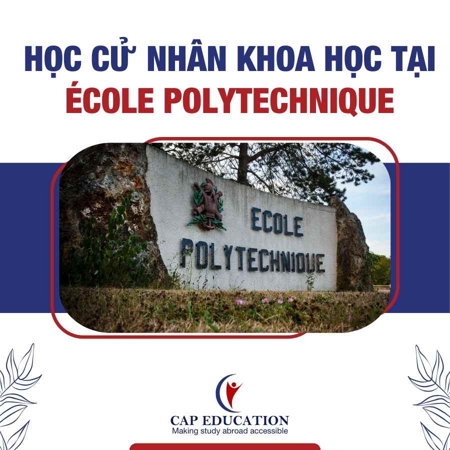 Hình ảnh minh họa Học Cử Nhân Khoa Học Tại École Polytechnique